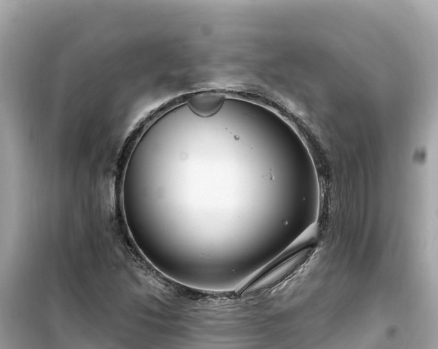 X0000099521214200805221437