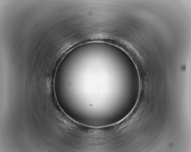 X0000099521217200805221437