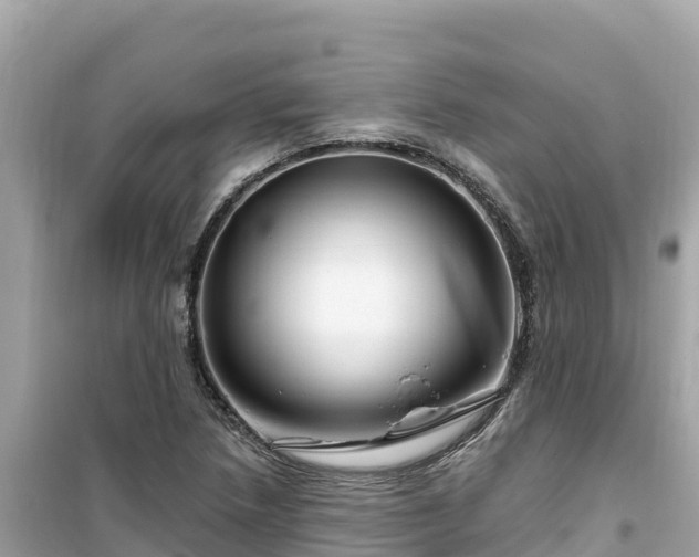 X0000099521218200805221437