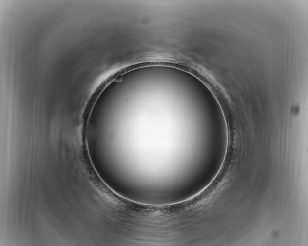 X0000099521222200805221437