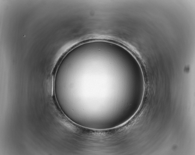 X0000099521223200805221437