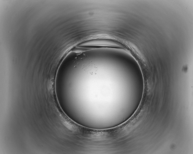 X0000099521225200805221437