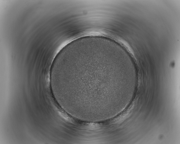 X0000099521226200805221437
