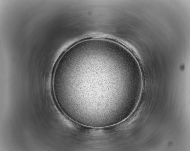 X0000099521231200805221437