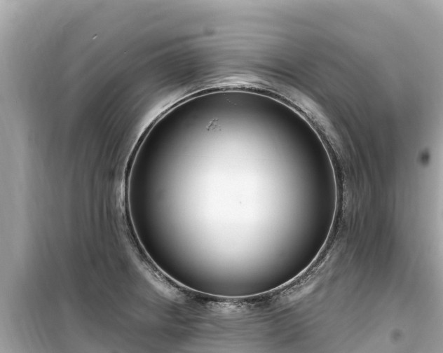 X0000099521234200805221437
