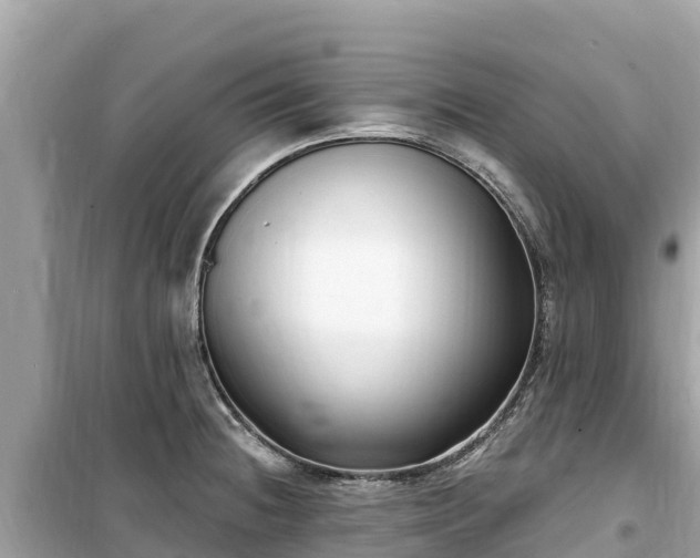 X0000099521236200805221437