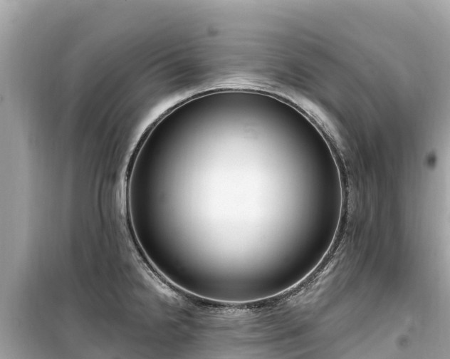 X0000099521238200805221437