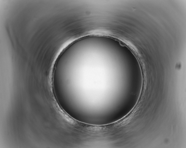 X0000099521248200805221437