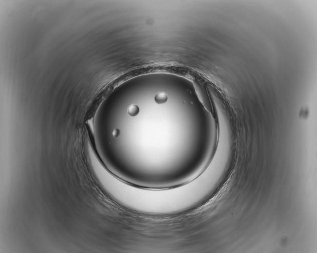 X0000099521257200805221437
