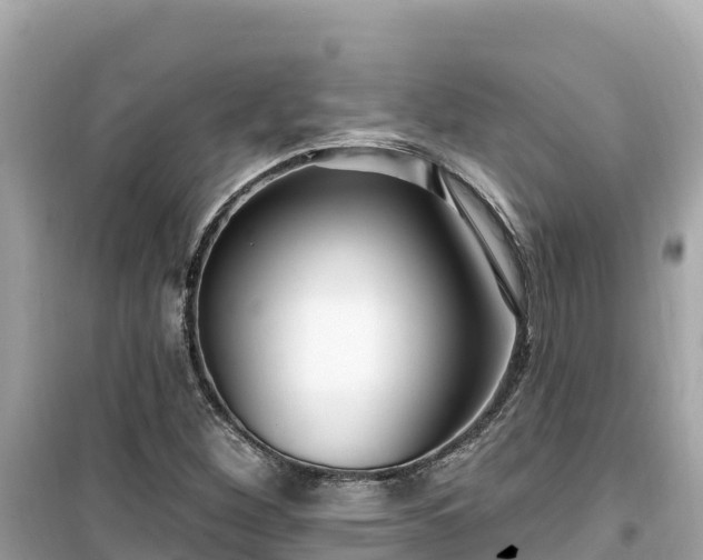 X0000099521260200805221436