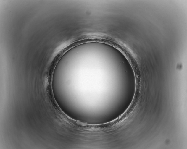 X0000099521261200805221436