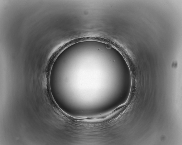 X0000099521262200805221436