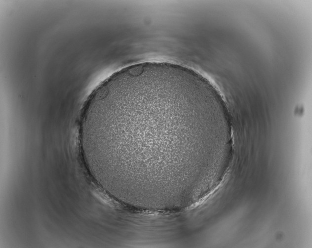 X0000099521263200805221436