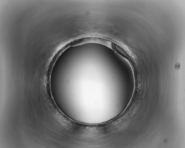 X0000099521264200805221436