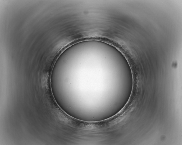 X0000099521265200805221436