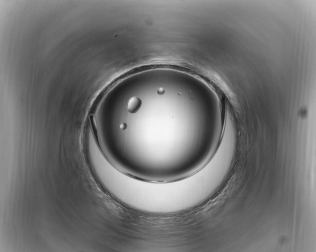 X0000099521268200805221436