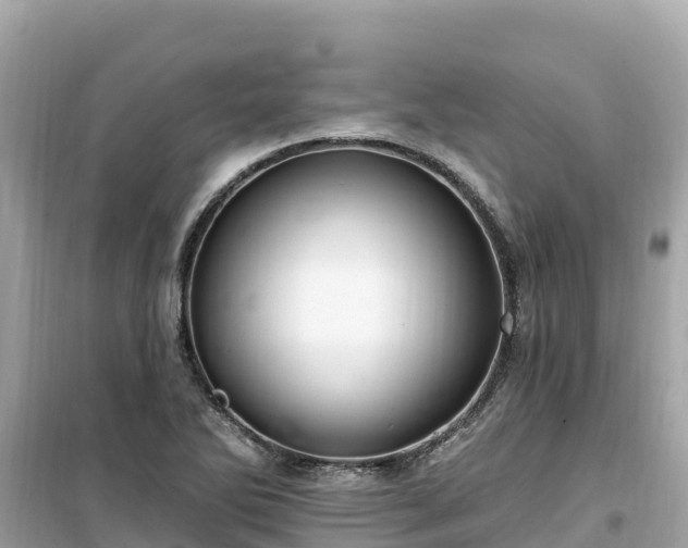 X0000099521270200805221436