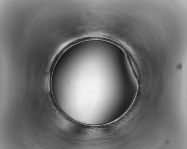 X0000099521272200805221436
