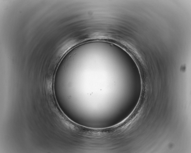 X0000099521273200805221436