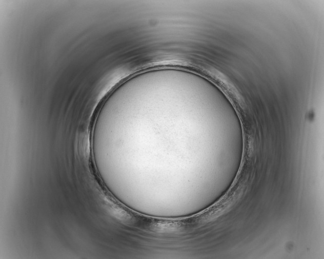 X0000099521274200805221436