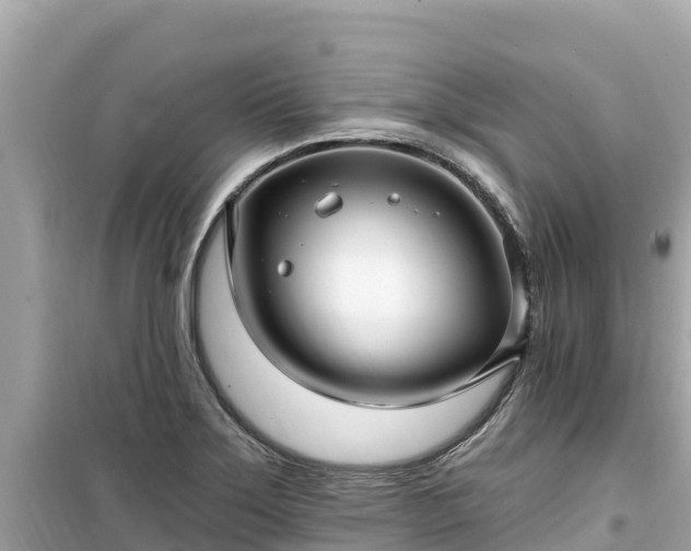 X0000099521275200805221436