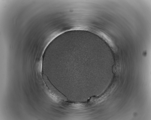 X0000099521276200805221436