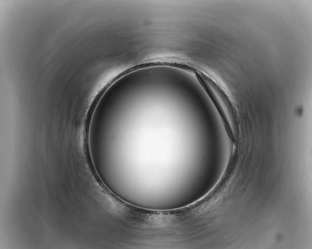 X0000099521277200805221436