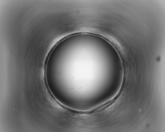 X0000099521280200805221436