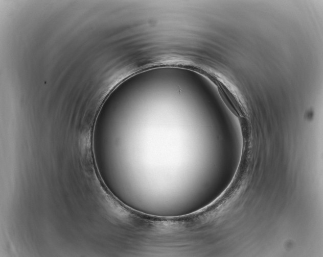 X0000099521281200805221436