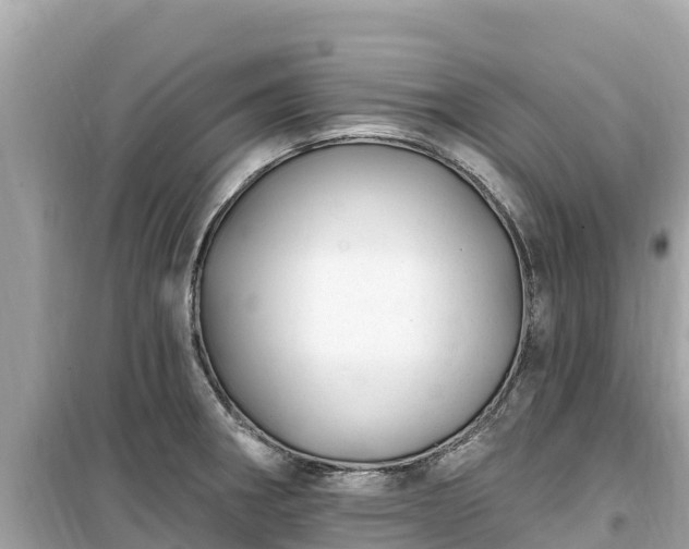 X0000099521282200805221436