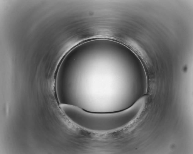 X0000099521284200805221436