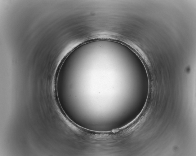 X0000099521285200805221436