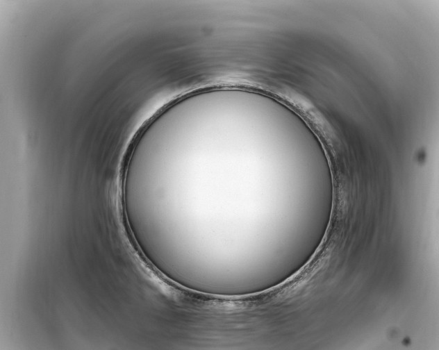 X0000099521286200805221436