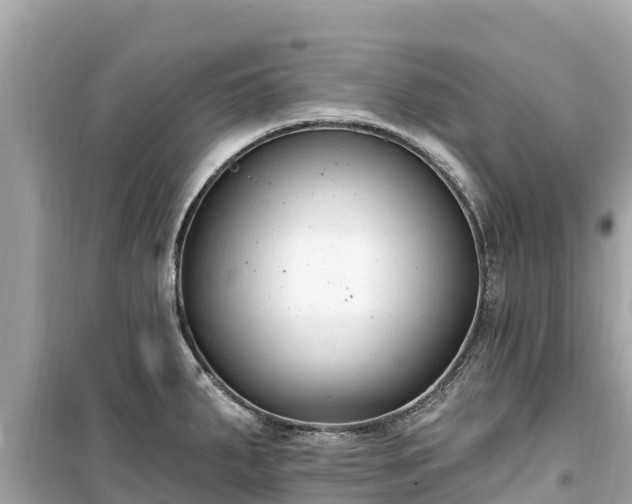 X0000099521287200805221436