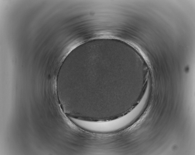 X0000099521289200805221436