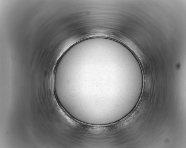 X0000099521290200805221436