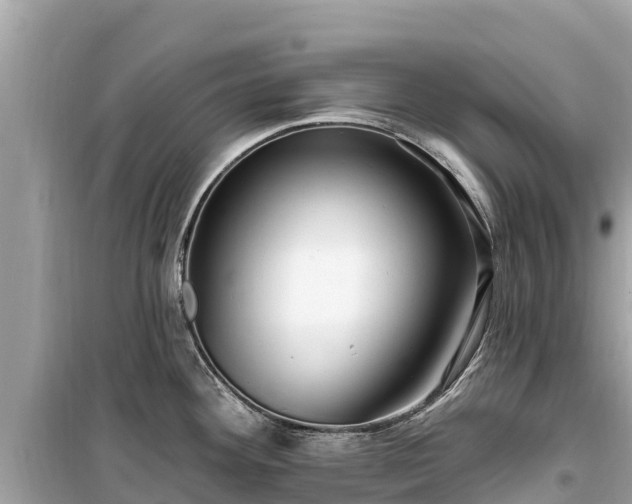 X0000099521292200805221436