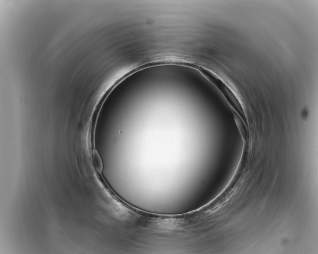 X0000099521293200805221436