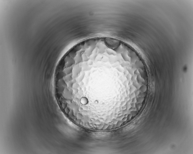 X0000099521294200805221436