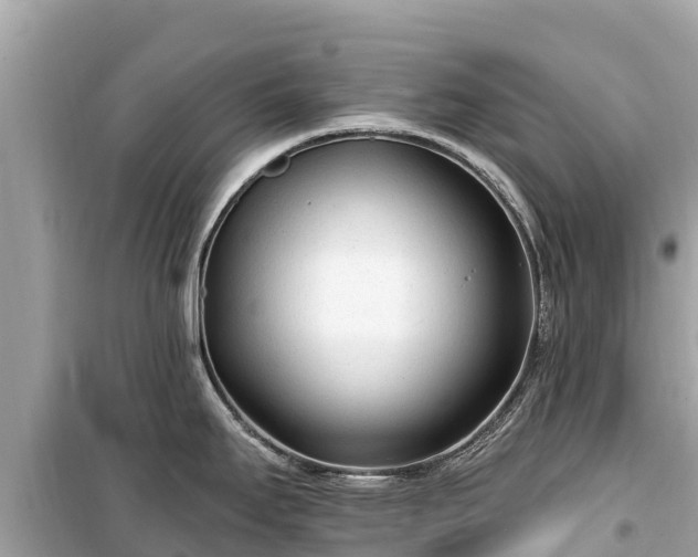 X0000099521295200805221436