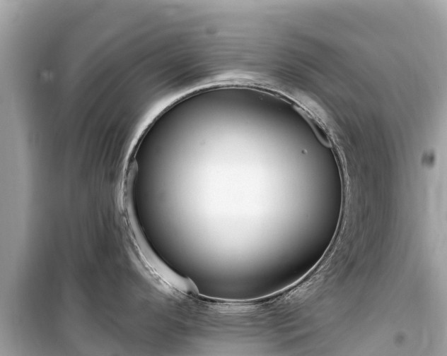 X0000099521296200805221436
