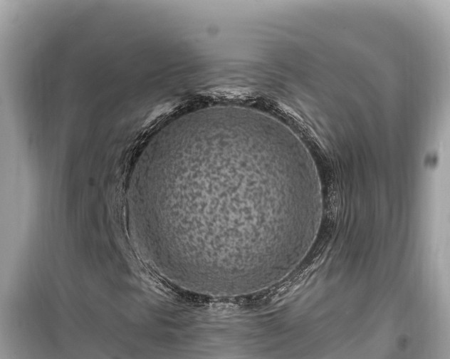 X0000099521297200805221435