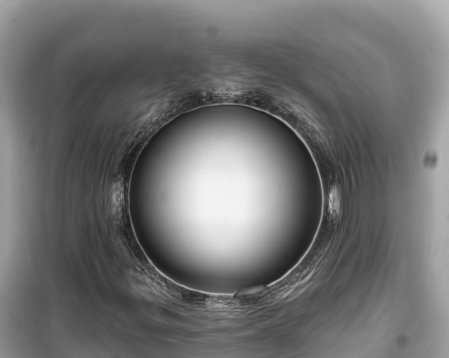 X0000099521299200805221435
