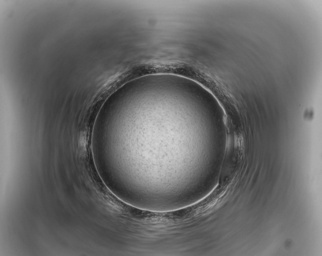 X0000099521300200805221435
