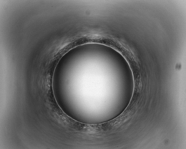 X0000099521301200805221435