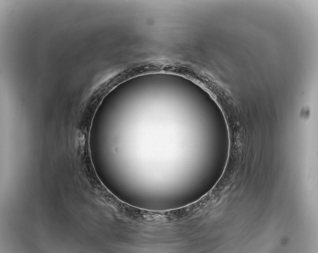X0000099521302200805221435