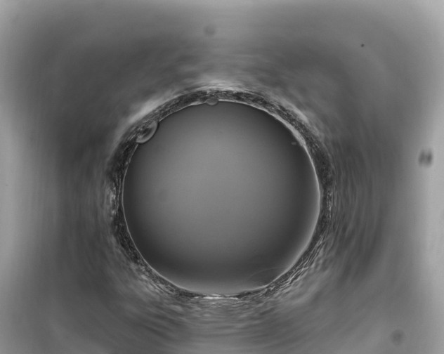 X0000099521303200805221435