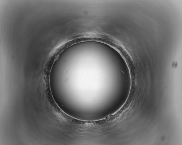 X0000099521304200805221435
