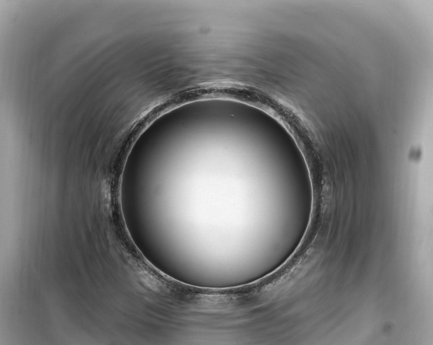 X0000099521305200805221435