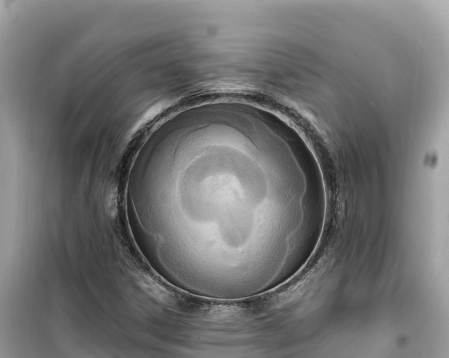 X0000099521306200805221435